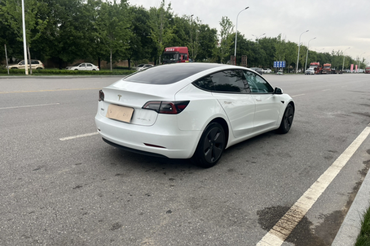 Tesla Model 3 2021 #6 Tesla Model 3 2021 car image #6