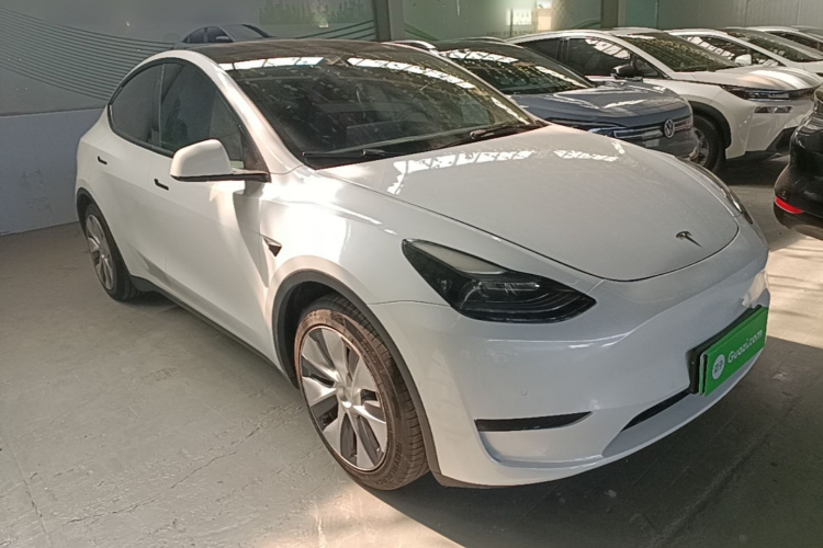 Tesla Model Y 2022 car image #6