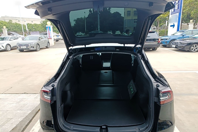 Tesla Model Y 2024 car image #19