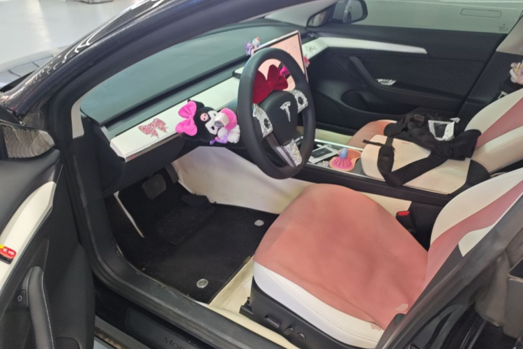 Tesla Model 3 2022 #15 Tesla Model 3 2022 car image #15