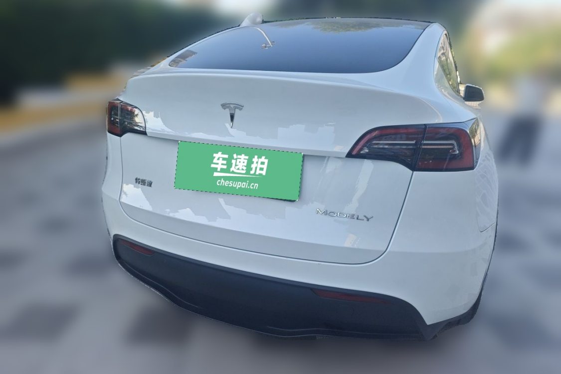 特斯拉 Model Y 2024 汽车图片 #6