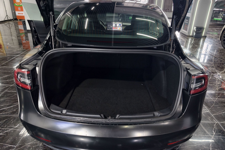 Tesla Model 3 2020 #19 Tesla Model 3 2020 immagine di auto #19