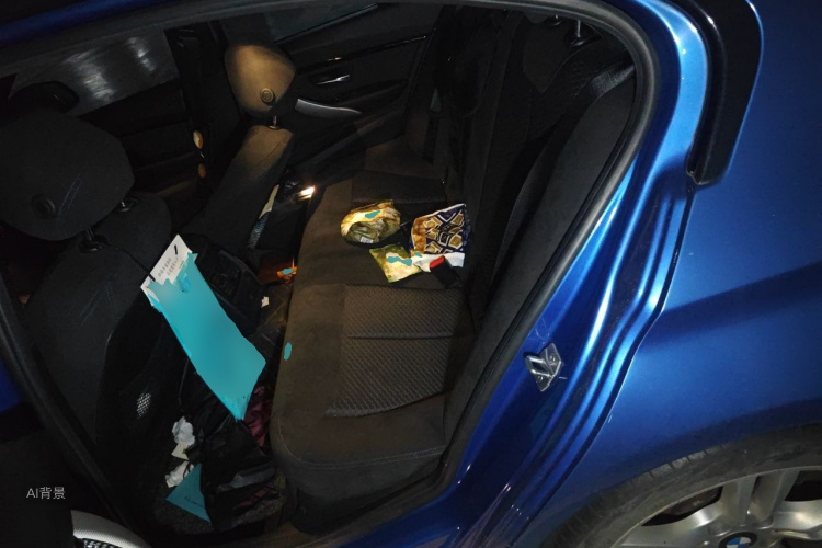 BMW 3 Series 2017 #19 BMW 3 Series 2017 car image #19