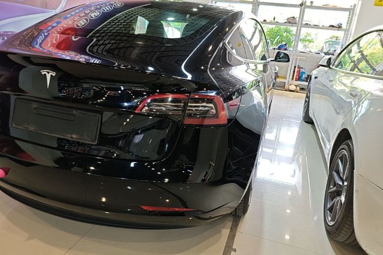 Tesla Model 3 2021 imagem de carro #8