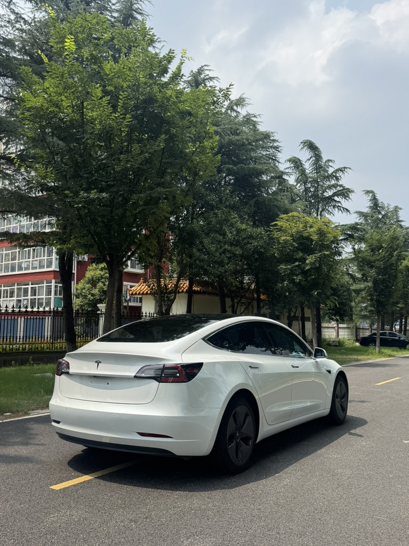 Tesla Model 3 (Imported) 2019 car image #9