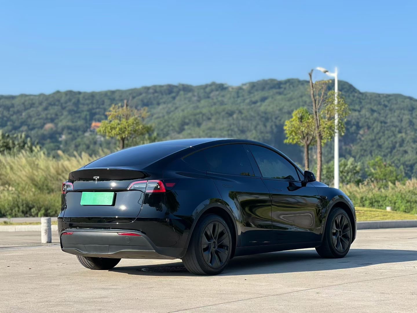 Tesla Model Y 2024 car image #6