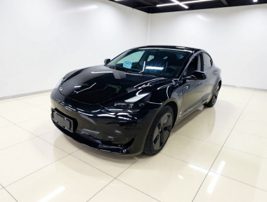 Tesla Model 3 2021 Tesla Model 3 2021 car image