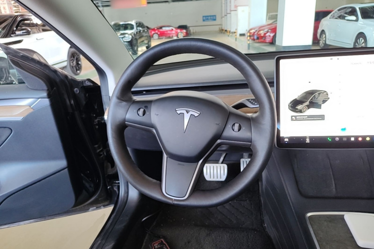 Tesla Model 3 2021 car image #11