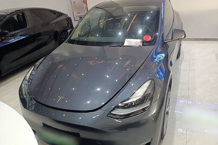 Tesla Model Y 2021 car image #3