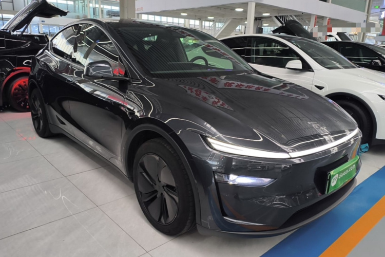 Tesla Model Y 2025 car image #6