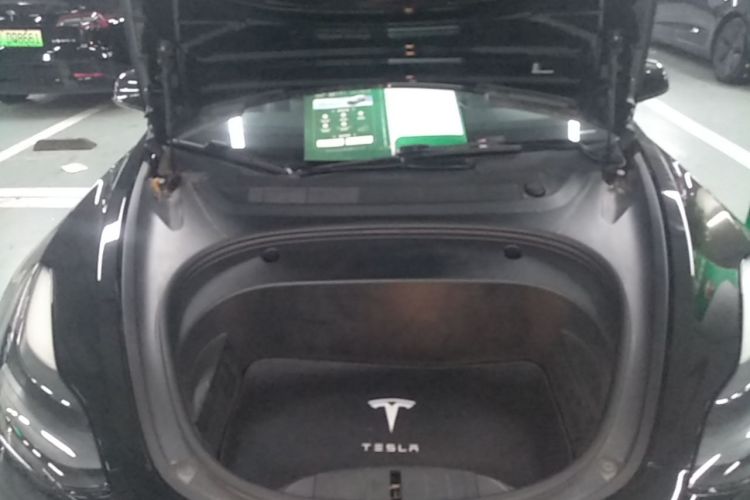 Tesla Model 3 2021 car image #20