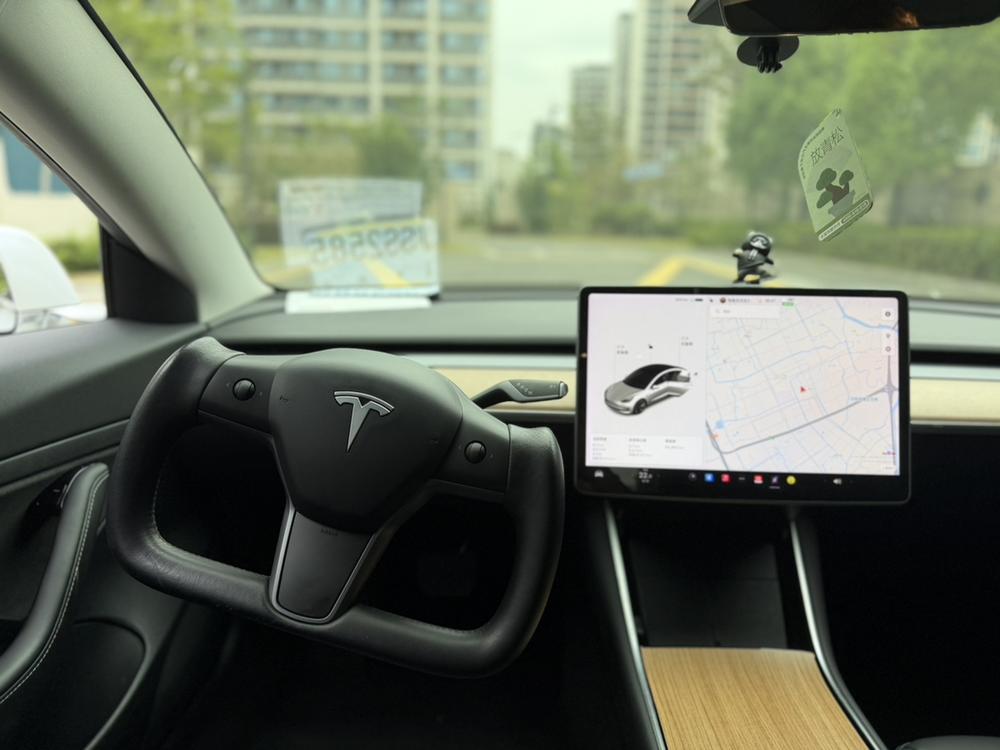 Tesla Model 3 2020 #12 Tesla Model 3 2020 car image #12