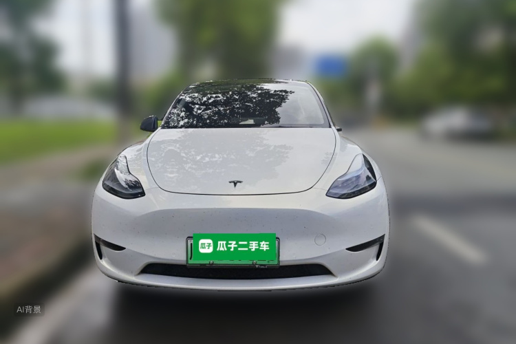 Tesla Model Y 2023 car image #3