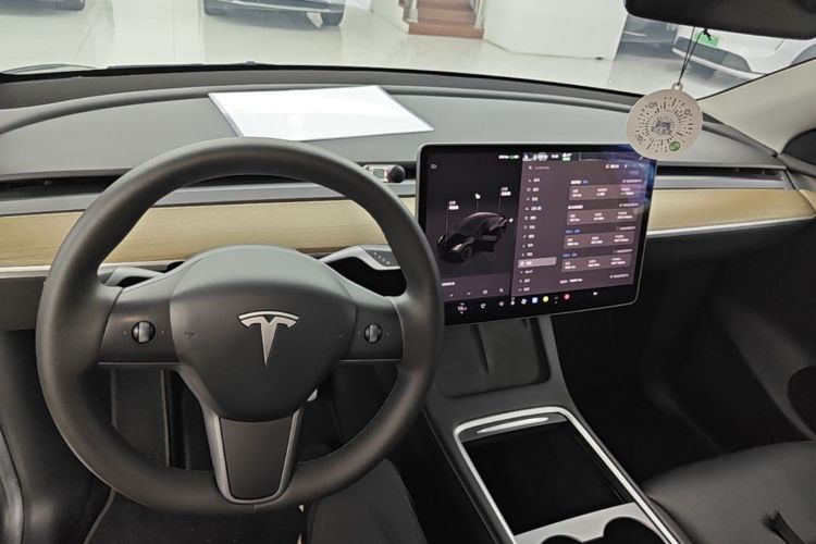 Tesla Model Y 2022 car image #10