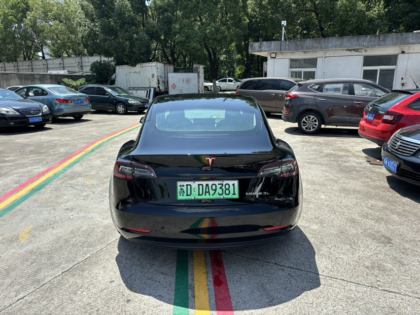 Tesla Model 3 2020 car image #5