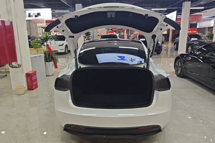 Tesla Model 3 2024 immagine di auto #19