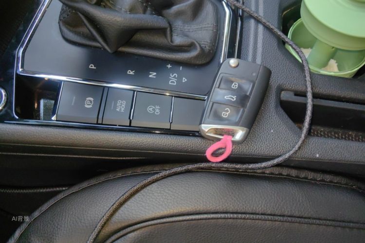 Volkswagen Lavida 2021 car image #16