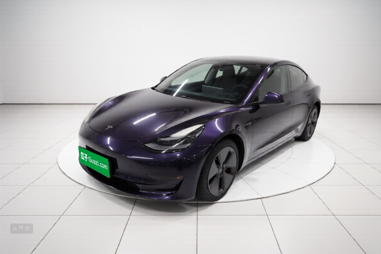 Tesla Model 3 2021 car image #2
