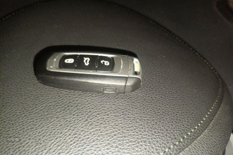 GEELY Emgrand GS 2016 car image #10