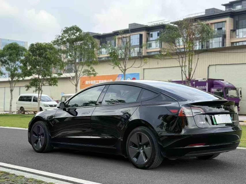 Tesla Model 3 2021 #9 Tesla Model 3 2021 car image #9