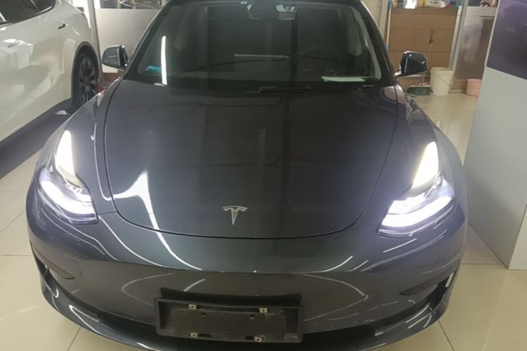 Tesla Model 3 2021 #3 Tesla Model 3 2021 car image #3