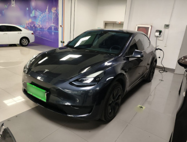 Tesla Model Y 2024 Tesla Model Y 2024 car image