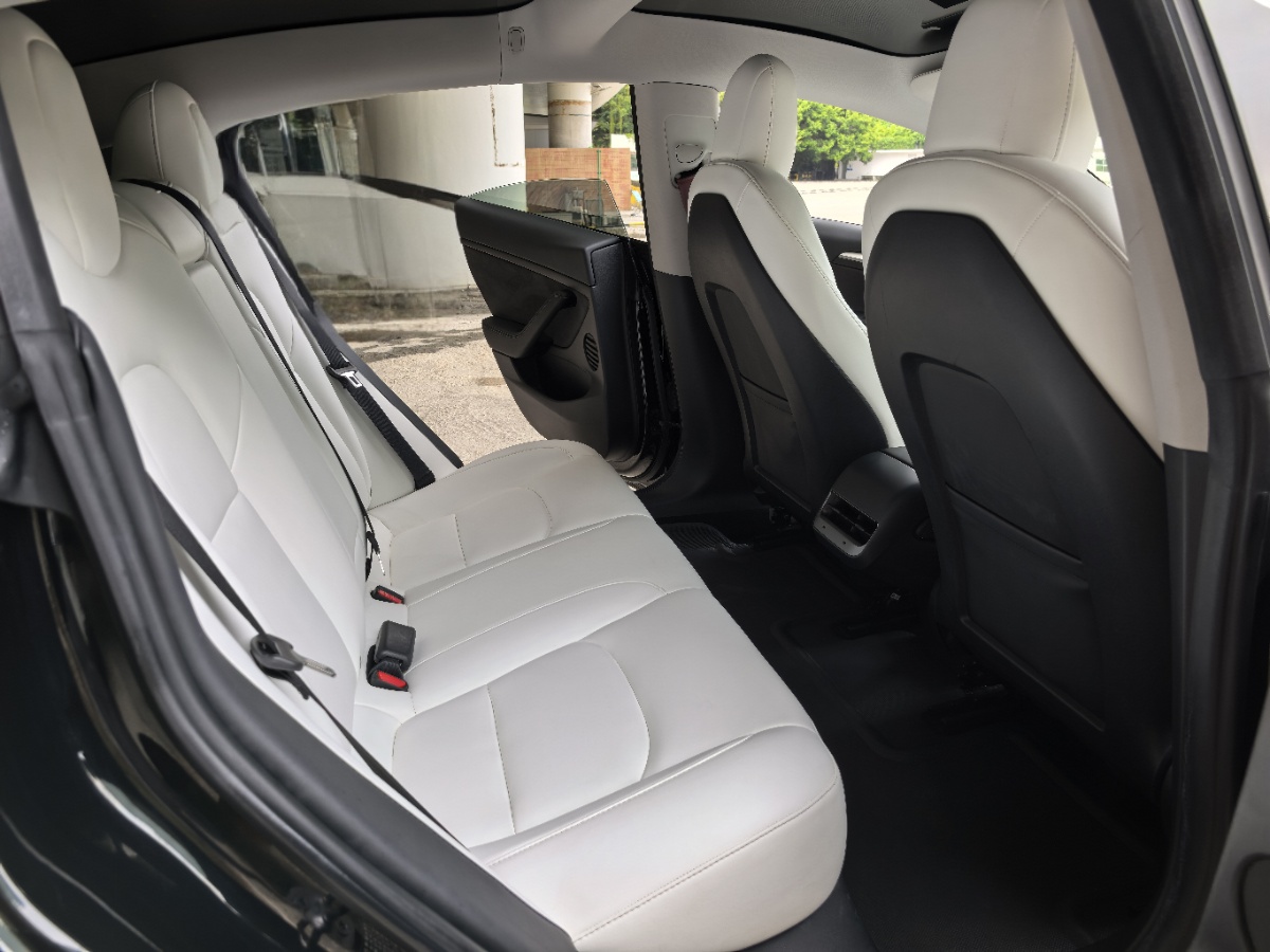 Tesla Model 3 2021 #9 Tesla Model 3 2021 car image #9