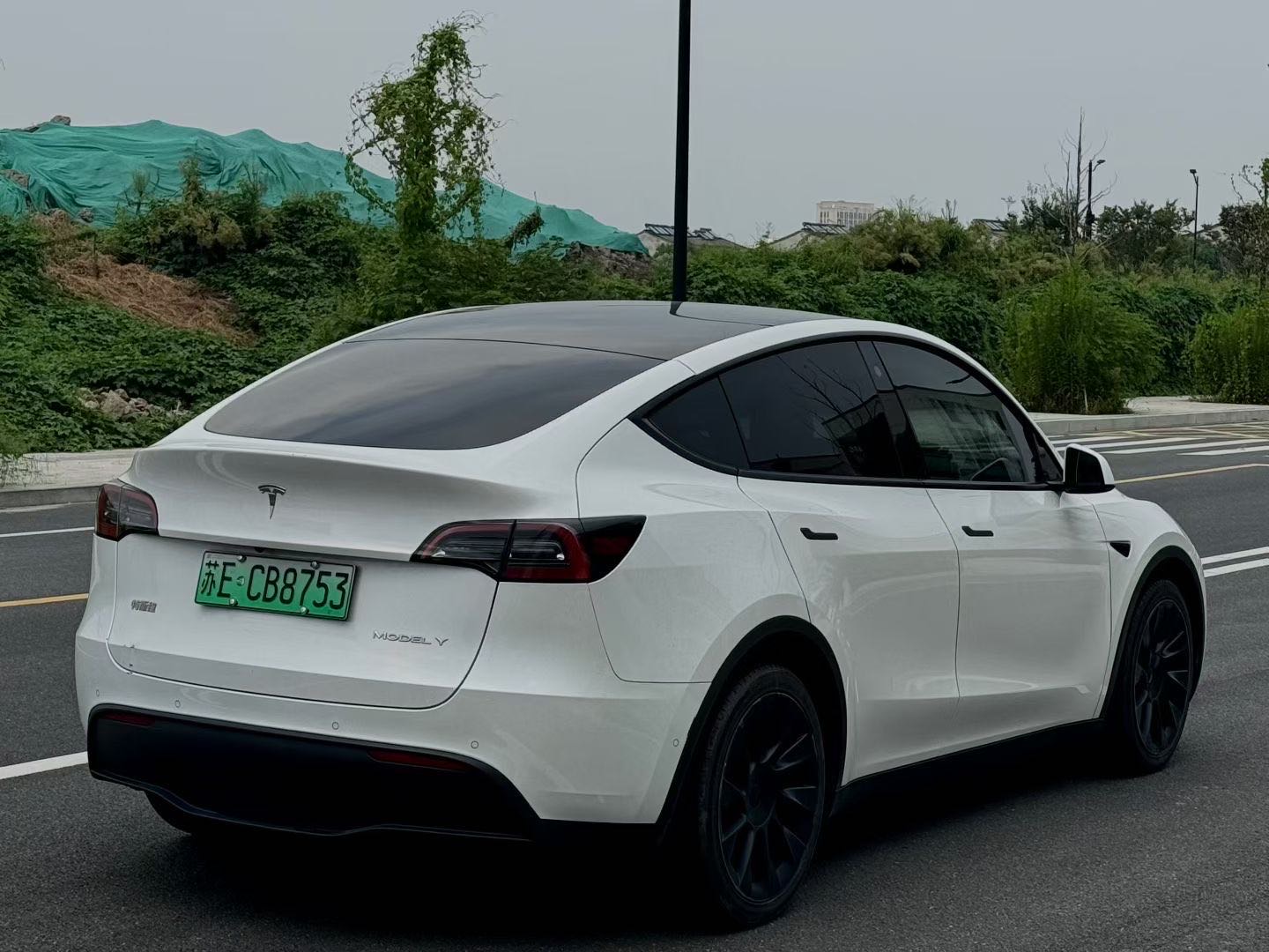 Tesla Model Y 2022 immagine di auto #7