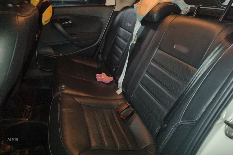 Volkswagen Polo 2014 car image #19