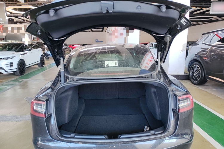 Tesla Model 3 2021 car image #19