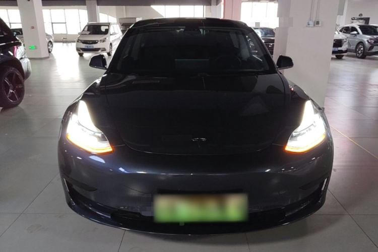Tesla Model 3 2020 #3 Tesla Model 3 2020 car image #3