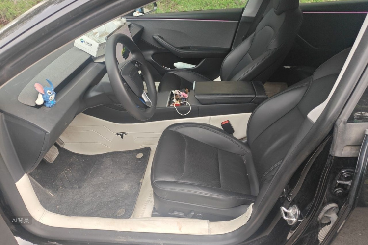 Tesla Model 3 2023 car image #17