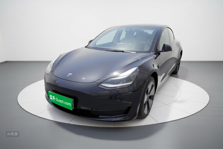 Tesla Model 3 2023 #2 Tesla Model 3 2023 car image #2
