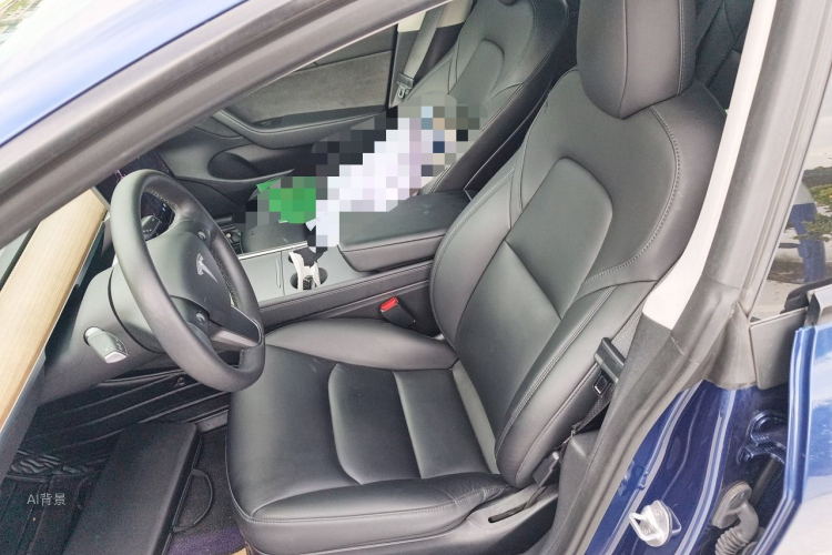 Tesla Model 3 2021 car image #17