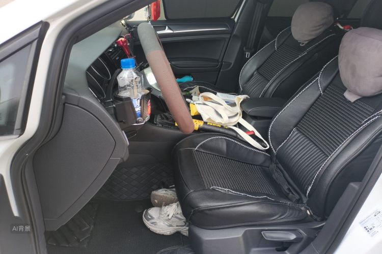 Volkswagen Golf 2019 car image #17