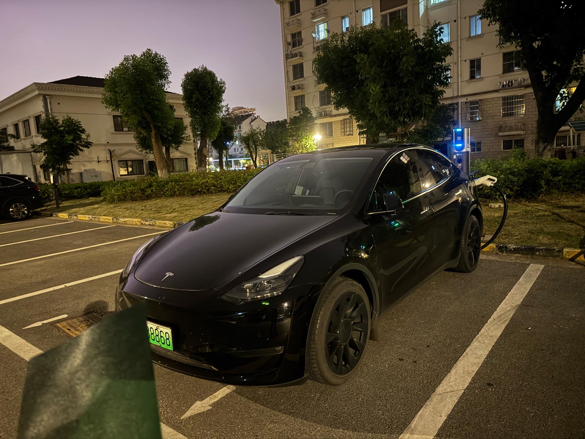 Tesla Model Y 2021 car image 