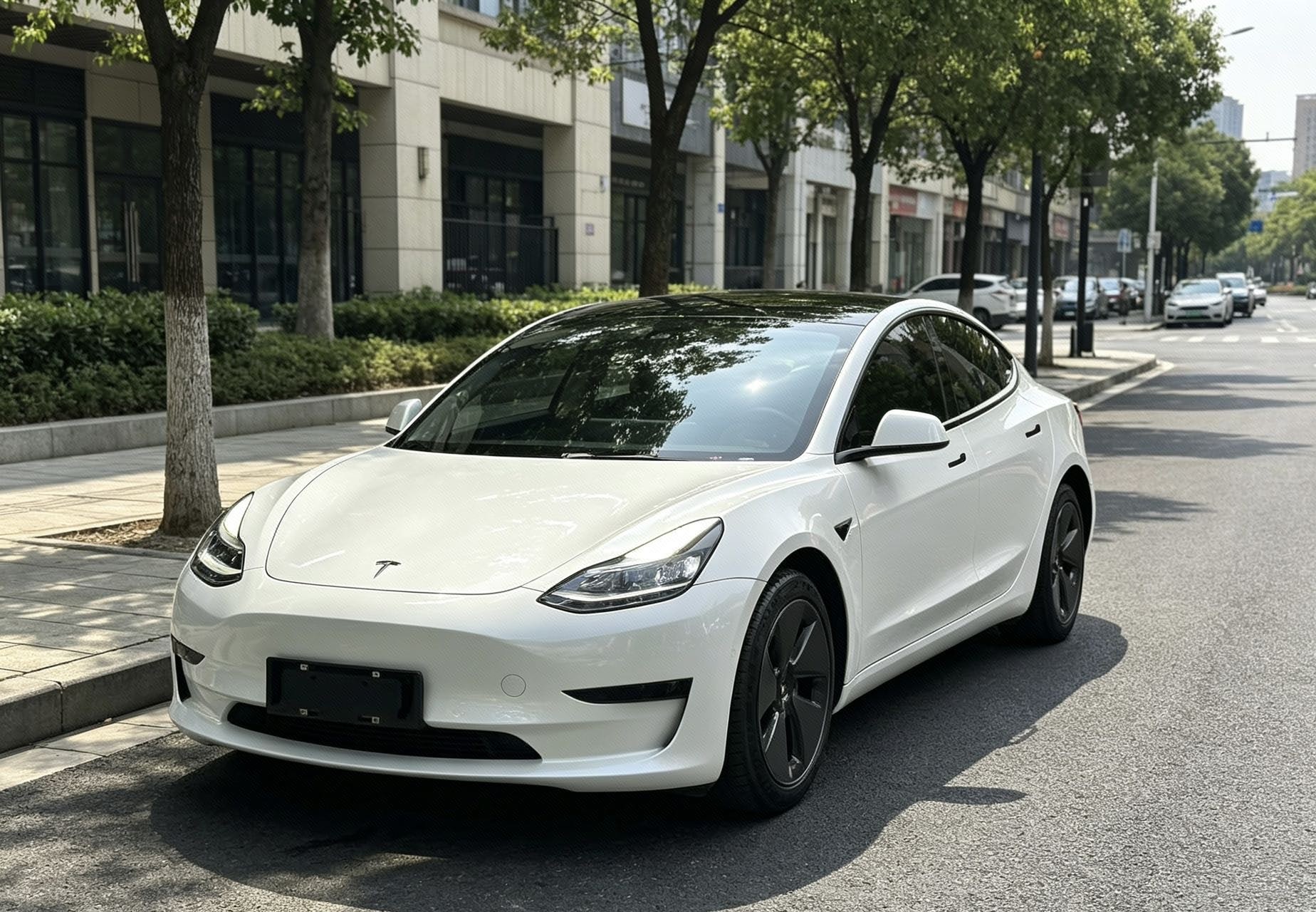 Tesla Model 3 2021 Tesla Model 3 2021 car image