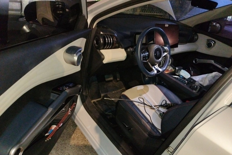 BYD Yuan Plus 2022 car image #9