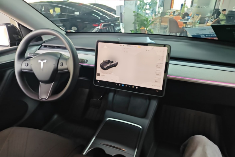 Tesla Model Y 2024 car image #10