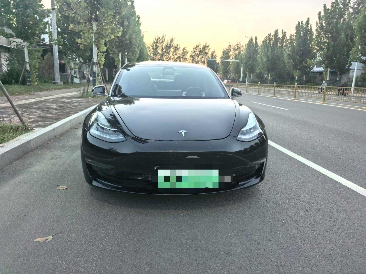 Tesla Model 3 (Imported) 2019 #4 Tesla Model 3 (Imported) 2019 car image #4