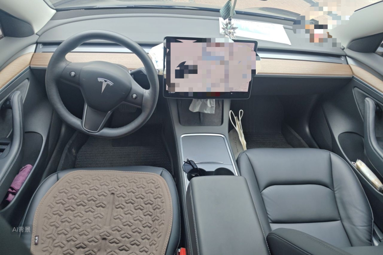 Tesla Model 3 2021 immagine di auto #11
