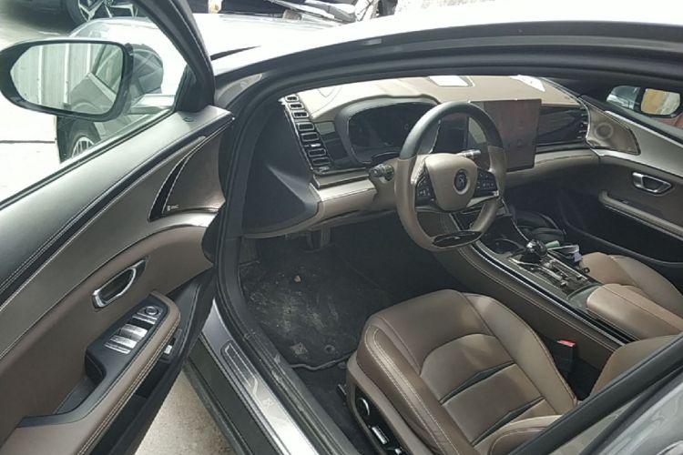 BYD Han 2020 #12 BYD Han 2020 immagine di auto #12