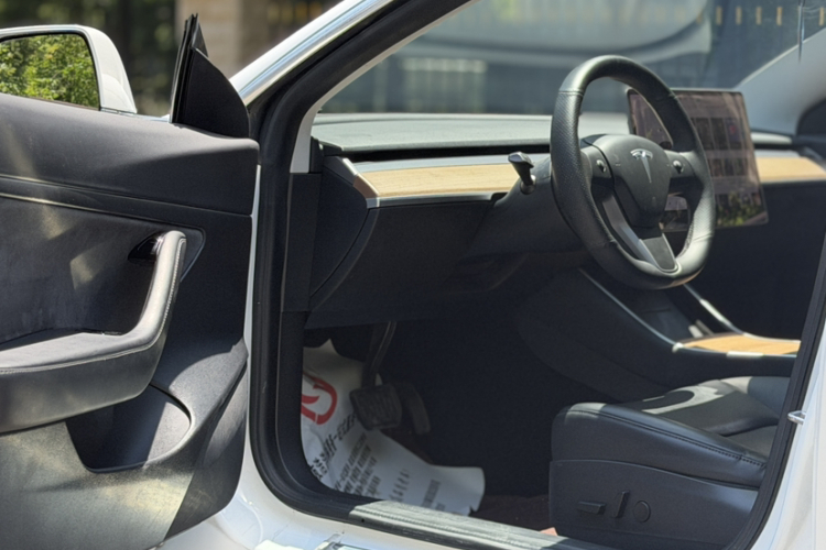 Tesla Model 3 2020 car image #21