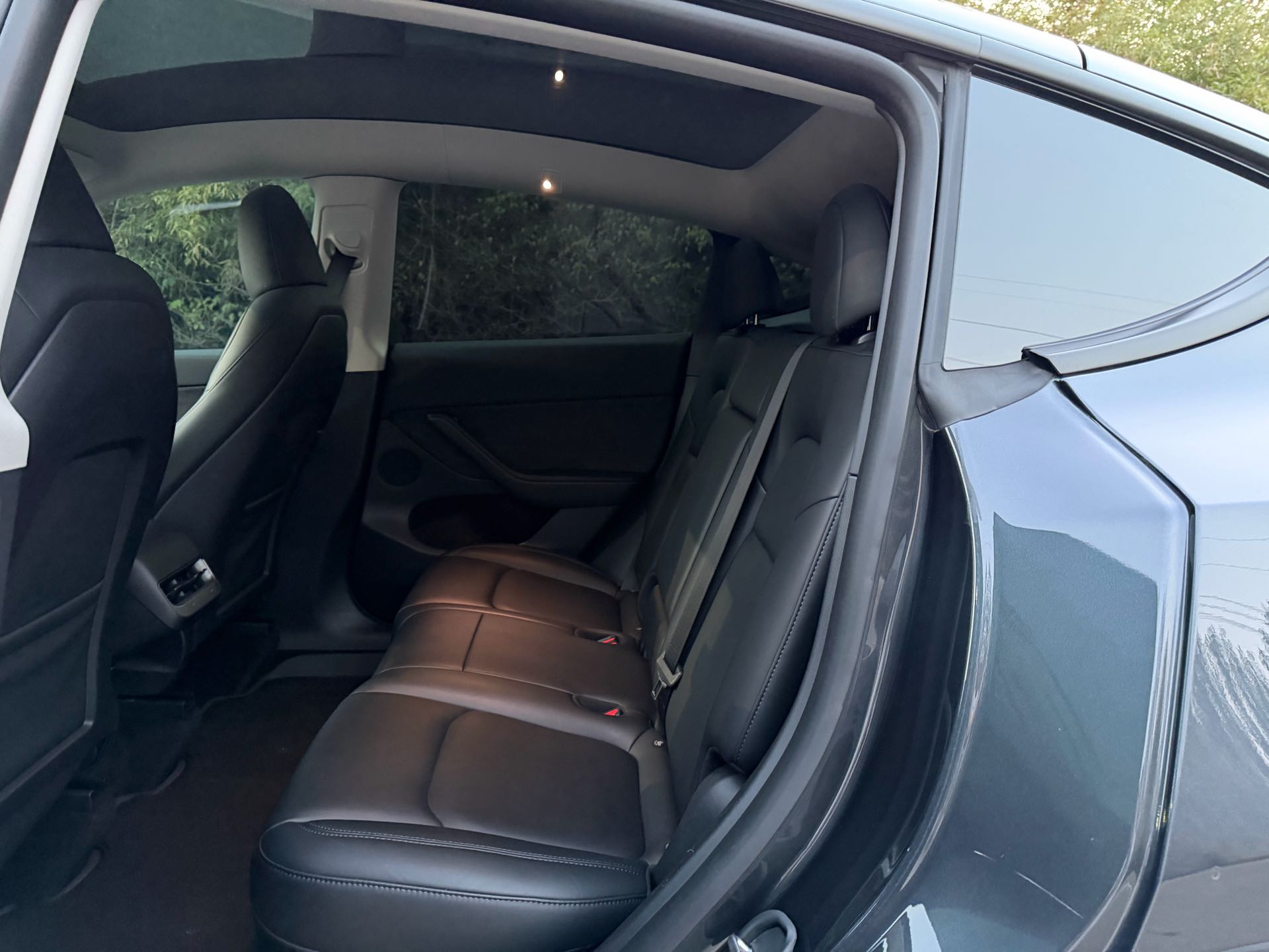 Tesla Model Y 2024 #6 Tesla Model Y 2024 car image #6