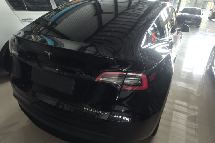 Tesla Model Y 2023 #7 Tesla Model Y 2023 car image #7