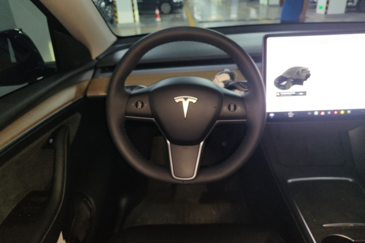 Tesla Model Y 2021 #12 Tesla Model Y 2021 car image #12