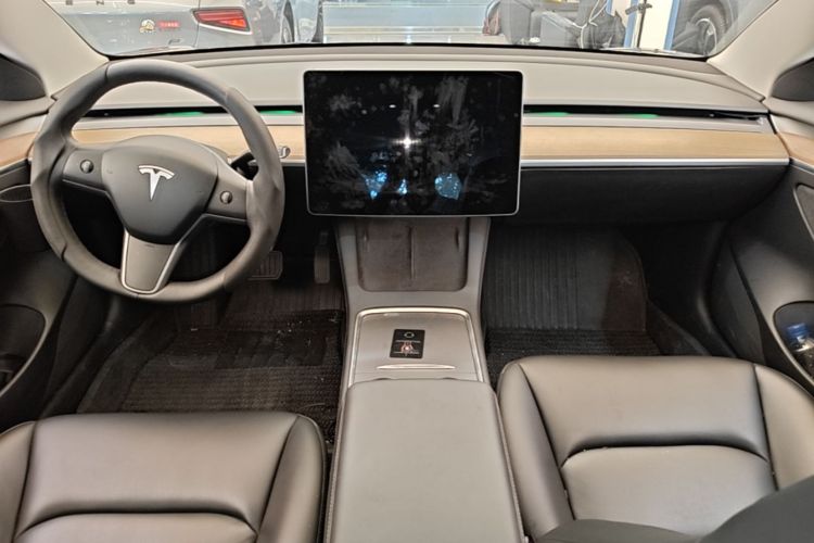 Tesla Model 3 2021 car image #10