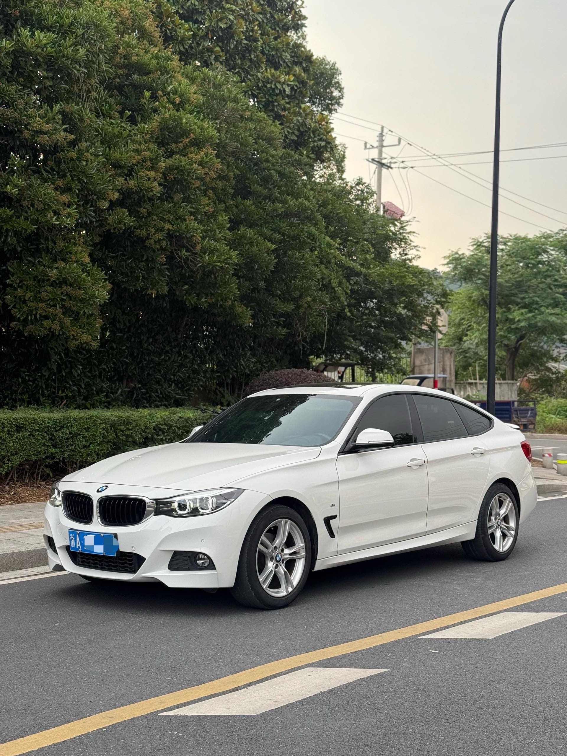 BMW 3 Series GT 2019 BMW 3 Series GT 2019 car image
