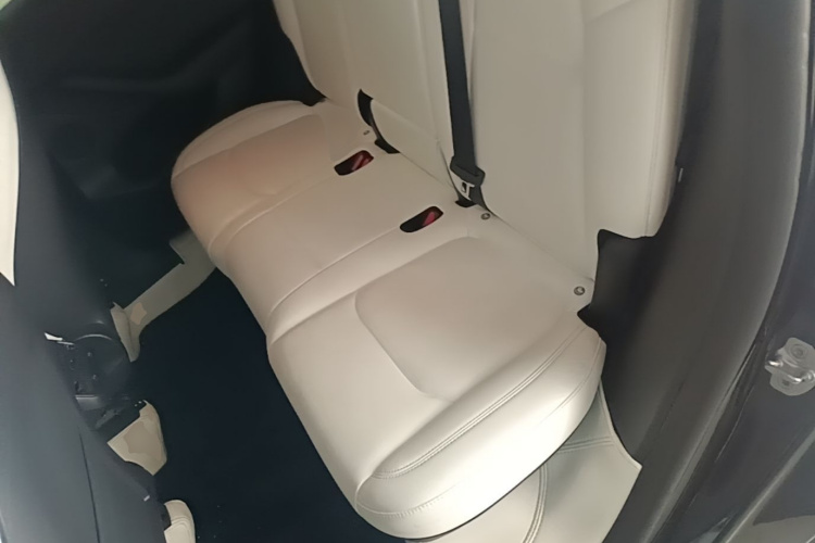 Tesla Model Y 2023 #17 Tesla Model Y 2023 car image #17
