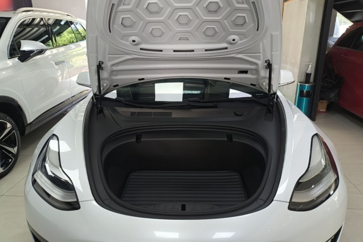 Tesla Model 3 2020 #22 Tesla Model 3 2020 car image #22
